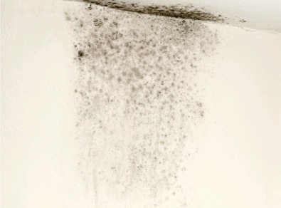 부안 주택 아파트 공장 결로검사 결로공사 시공업체