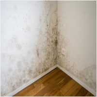 부안 주택 아파트 공장 결로검사 결로공사 시공업체-6106322