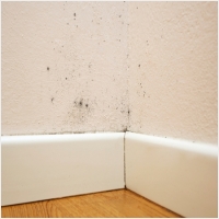 부안 주택 아파트 공장 결로검사 결로공사 시공업체-6106325