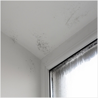 부안 주택 아파트 공장 결로검사 결로공사 시공업체-6106320